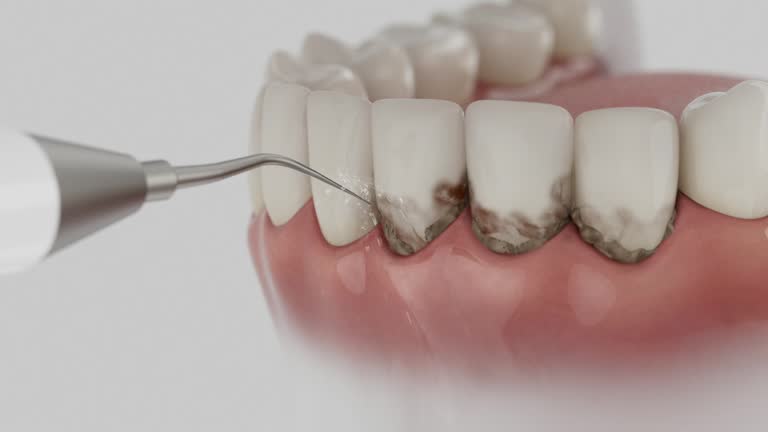 Reliable Dental contractor in Pinellas Park, FL by Dentist Open Now